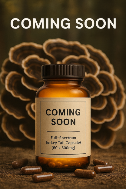 “Amber glass bottle labeled ‘Coming Soon’ with Full-Spectrum Turkey Tail Capsules surrounded by capsules and Turkey Tail mushrooms in the background.”